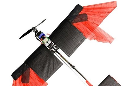 طراحی یک پهپاد دارای پر